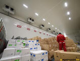 Warehouses to let in LOGMAXX ALPHA