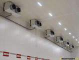 Warehouses to let in LOGMAXX ALPHA