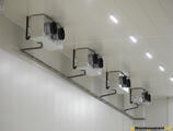Warehouses to let in LOGMAXX ALPHA
