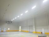 Warehouses to let in LOGMAXX ALPHA