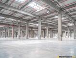 Warehouses to let in CTPark Novi Sad East