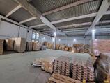 Warehouses to let in Warehouse in Novi Sad