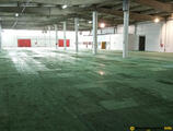 Warehouses to let in Warehouse in Novi Sad